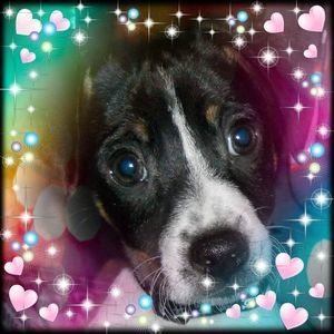 Meet your Posher, Aj